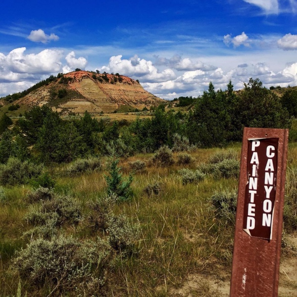 4 - Theodore Roosevelt National Park / North Dakota